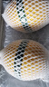 京鮮生 天山一號(hào) 黃金哈密瓜 2粒裝 單果2.8斤起  生鮮水果禮盒 曬單實(shí)拍圖