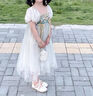 哈羅小黃鴨HAL.DUCK漢服女童夏款2025新款古風(fēng)仙夏季國風(fēng)連衣裙短袖兒童裙子公主裙 泡泡袖刺繡連衣裙 90 cm 曬單實(shí)拍圖