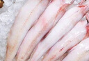 龍頭魚野生龍頭魚新鮮豆腐魚新鮮特級鼻涕魚海鮮九肚魚水潺 野生海捕龍頭魚10-15條/斤5斤裝 曬單實拍圖
