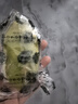 無籽香水檸檬新鮮采摘獨(dú)立包裝 【單果70g+】 1斤裝 曬單實(shí)拍圖