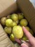 果益壽廣西欽蜜9號(hào)黃金百香果 新鮮水果白香果醬原漿整箱 30個(gè)裝 【單果30g以下】嘗鮮裝 曬單實(shí)拍圖