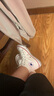 匡威（Converse）男女 Chuck Taylor All Star 硫化鞋 101009 38碼US5.5碼 曬單實拍圖