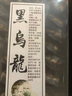 正宗茶葉茶葉批發(fā) 福建鐵觀音茶葉駿眉紅茶茶葉鐵罐裝小種 【真實(shí)惠】黑烏龍/32小包/250克 曬單實(shí)拍圖