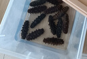 宮品有機(jī)淡干海參優(yōu)選半斤裝250g15-30只底播刺參 源頭直發(fā) 曬單實拍圖