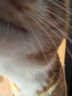 猛瑪LARK A1無線領(lǐng)夾麥克風(fēng) 手機(jī)直播收音麥 智能降噪MOMA猛犸a1麥克風(fēng)話筒多巴胺mini采訪拍攝收音器 曬單實(shí)拍圖