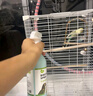 寵易生鳥用驅(qū)廦蟲噴劑鸚鵡鴿子鳥類咬毛啄羽掉毛螨蟲體外清潔噴霧500ML 曬單實拍圖