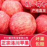 洛川蘋果洛川紅富士蘋果陜西特產(chǎn)時(shí)令生鮮水果產(chǎn)地直發(fā) 健康輕食 10斤大果80-85mm（凈重8.5斤） 曬單實(shí)拍圖