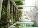 高清ccd數(shù)碼相機(jī)濾鏡美顏學(xué)生相機(jī)自動(dòng)對(duì)焦自拍照數(shù)碼相機(jī)翻轉(zhuǎn)屏照相機(jī)拍立得學(xué)生黨自拍旅游專用生日禮物送朋友vlog相機(jī) W1翻蓋屏+WiFi+18倍+7500萬+美顏濾鏡 儲(chǔ)存卡四【128G內(nèi)存卡】+ 曬單實(shí)拍圖