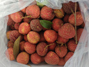 京臻峙果冷凍白糖罌荔枝 單果15g起 廣東老樹(shù)荔枝當季水果禮盒 5斤裝（精選大果） 曬單實(shí)拍圖