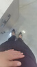 尚都比拉職場通勤高腰微喇叭褲女裝新春高級感休閑褲子顯瘦長褲 黑色 L  曬單實拍圖