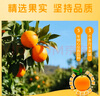 匯源NFC橙汁（含果肉）200ml*10瓶 水果本味嚼著吃 NFC橙果肉 曬單實拍圖