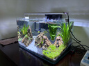 西游水族魚(yú)缸造景全套熱彎玻璃缸客廳小型桌面免換水生態(tài)草缸迷你金魚(yú)缸 長(cháng)40*寬22*高25-峽谷款造景全套 曬單實(shí)拍圖