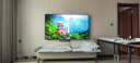 海信電視E7N Pro 75英寸信芯芯片H6 U+Mini LED墨晶屏 300Hz高刷AI智能75E7N-PRO國(guó)家補(bǔ)貼20% 曬單實(shí)拍圖
