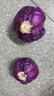 京鮮生山東新鮮紫甘藍(lán)凈重4.5斤 新鮮蔬菜 單果350g+沙拉蔬菜 源頭直發(fā) 曬單實拍圖