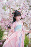 年衣童裝女童漢服連衣裙2025夏新款兒童古風(fēng)超仙改良襦裙唐裝女童 石蕊粉 130 曬單實拍圖