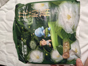 布班迪【源頭直發(fā)】山茶花花芯褲拉拉褲XL24片超薄透氣男女寶通用尿不濕 曬單實(shí)拍圖