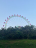 佑兒圓無麩質(zhì)大米吐司350g無蛋奶兒童糕點早餐 獨立無麩質(zhì)生產(chǎn)線 椰香紫薯味 吐司（配方升級版） 曬單實拍圖