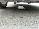 汽車空調(diào)清洗劑免拆除管道清潔蒸發(fā)箱殺菌除味車子用風(fēng)道空氣清潔 汽車空調(diào)清洗劑除臭殺菌異味清潔 曬單實(shí)拍圖