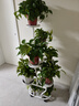 花架落地可移動(dòng)客廳花架陽(yáng)臺植物置物架庭院鐵藝多層多肉花盆托架 7層【加粗方管+萬(wàn)向輪】乳白色 曬單實(shí)拍圖