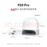 石頭（roborock）掃地機(jī)器人掃拖一體 P20 Pro 掃拖洗烘一體機(jī) 自動(dòng)集塵熱水洗拖布擦地拖地洗地機(jī)吸塵器 A1340RR 曬單實(shí)拍圖