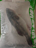 鮮活沖浪河鱸魚400-500g/條 曬單實拍圖