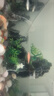 sobo松寶魚(yú)缸電動(dòng)換水器自動(dòng)抽水泵洗沙吸便器家用水族箱清潔神器套裝 32W豪華款【六合一】+10米水管+加水套餐 曬單實(shí)拍圖