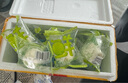 【順豐冷鏈】新疆鮮酸奶疙瘩兒童早餐奶酸奶棒奶酪棒奶棒奶制品 順豐哈密瓜10袋+原味10袋 曬單實拍圖