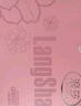 浪莎大碼中腰女內(nèi)褲胖mm抗菌棉襠蕾絲性感2025新款純欲夏薄款 香檳+卡其+黑色 3條 2XL 【適合體重115-150斤】 曬單實拍圖