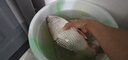 小早川小早川品牌魚竿純進口碳素手桿臺釣竿釣魚竿十大 5.4m 5H28調(diào) 曬單實拍圖
