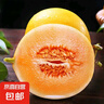 甘肅民勤沙漠蜜瓜新鮮采摘產(chǎn)地發(fā)貨 凈重4-5斤 1-2個(gè)瓜 曬單實(shí)拍圖