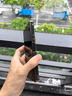 浪倜【頭層牛皮】適用三星ZFold7手機殼W25新款納帕皮雙中軸全包保護心系天下標高檔鏡頭防摔保護套 【秘影黑】贈高清膜丨納帕真皮丨中軸雙邊全包 三星 W25 曬單實拍圖