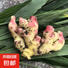 云南小黃姜新鮮嫩姜嫩姜芽現(xiàn)挖紅芽仔姜當(dāng)季新鮮小黃姜 3斤帶箱 曬單實拍圖