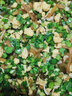 正宗鐵棍山藥粉條碎粉條家用包子餃子餡料專(zhuān)用手工粉絲 200g*3袋 曬單實(shí)拍圖