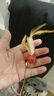 瓜洲牧貓玩具彈力球羽毛逗貓棒自嗨解悶神器網(wǎng)紅款貓咪追趕互動寵物用品 羽毛彈力球【運(yùn)動款】三個(gè)裝 曬單實(shí)拍圖