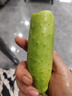 蔬果哆山東煙臺(tái)海陽(yáng)特產(chǎn) 白玉黃瓜 新鮮水果黃瓜 生吃 應(yīng)季 新鮮蔬菜 一箱凈重 5斤 保溫箱加冰發(fā)貨 曬單實(shí)拍圖
