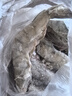 賣魚郎先生 王牌鹽凍大蝦原裝進(jìn)口 去冰凈蝦3斤 45-60只 厄瓜多爾白蝦 曬單實拍圖
