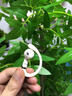 擊音【Ai智能】6.0藍牙耳機無(wú)線(xiàn)掛耳開(kāi)放式氣骨傳導概念超長(cháng)續航降噪音樂(lè )跑步運動(dòng)適用于蘋(píng)果華為S200 米白色丨Ai智能丨5g超輕丨超長(cháng)續航 曬單實(shí)拍圖