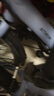 黑鳥（Blackbird） 自行車前燈德規(guī)公路山地自行車燈充電強光手電筒夜行燈騎行裝備 L3 A 雙燈頭1200流明 曬單實拍圖