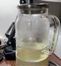 小熊（Bear）家用冷水壺高硼硅玻璃杯防燙硅膠底1.8L大容量涼水壺杯子廚房好物 曬單實拍圖