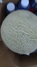 京鮮生 網(wǎng)紋甜瓜 1粒裝 單果2斤起 生鮮水果 源頭直發(fā) 曬單實(shí)拍圖