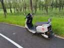 臺(tái)鈴電動(dòng)摩托車將軍100公里長(zhǎng)續(xù)航電動(dòng)車1200W高速電摩鉛酸電池72V22Ah外賣上班代步電瓶車煙霧灰 曬單實(shí)拍圖