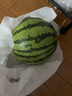 【產(chǎn)地直采】麒麟奶油西瓜1粒4kg 曬單實拍圖