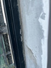 耐博仕水泥路面修復材料快干白水泥家用自流平水泥補地面防水堵漏王砂漿 【快干抗裂墻地通用】3斤灰水泥 曬單實(shí)拍圖