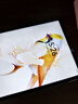 HUAWEI MatePad 標(biāo)準(zhǔn)版華為平板電腦11.5英寸120Hz護(hù)眼全面屏學(xué)生學(xué)習(xí)娛樂平板8+128GB 深空灰 曬單實(shí)拍圖