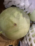 玉菇甜瓜蜜瓜新鮮水果批發(fā)冰激凌甜瓜軟糯甜瓜 9斤 曬單實(shí)拍圖