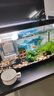 GEX日本五味水妖精生化過濾器迷你魚缸小魚缸吸便器水族箱過濾帶濾材 S號+2.2W氣泵套餐 曬單實拍圖