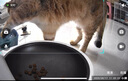 小佩寵物AI智能自動喂食器可視版 定時定量 貓狗寵物喂食 視頻監(jiān)控 曬單實拍圖