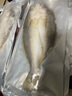 黃小漁南美黃魚鲞450g/2條 三去大黃魚黃花魚生鮮 海鮮水產(chǎn)燒烤夜宵魚類 曬單實(shí)拍圖