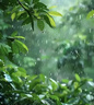 愛(ài)樂(lè)維（Elevit）澳洲進(jìn)口藻油DHA軟膠囊孕婦dha中晚期專用dha 愛(ài)樂(lè)維孕婦DHA 60粒*1盒裝 曬單實(shí)拍圖
