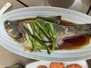鮮活沖浪河鱸魚400-500g/條 曬單實拍圖